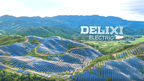 赋能行业协同创新！德力西电气受邀出席2024低压电器行业年会(图4)