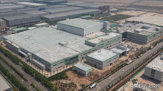 胶州：重点项目高效推进跑出建设加速度(图1)