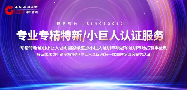 2024年中国电动轮椅用发动机行业研究报告(图1)