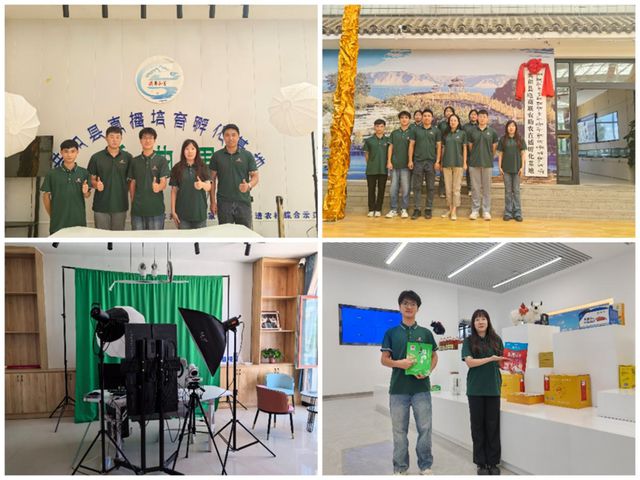 江苏电子信息职业学院智能制造学院：海棠“青音”传万里智造力量助振兴(图7)