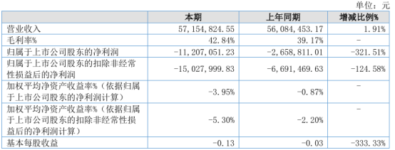 辰光医疗2024年上半年营收571548万同比增长191%租赁负债利息费用增加(图1)