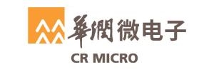 电子峰会2024：哪些半导体厂商来了？(图6)