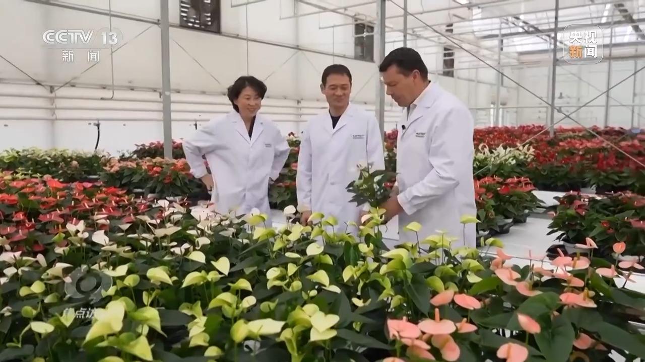 焦点访谈丨扩大开放再发力！2025让世界共享中国新机遇(图6)