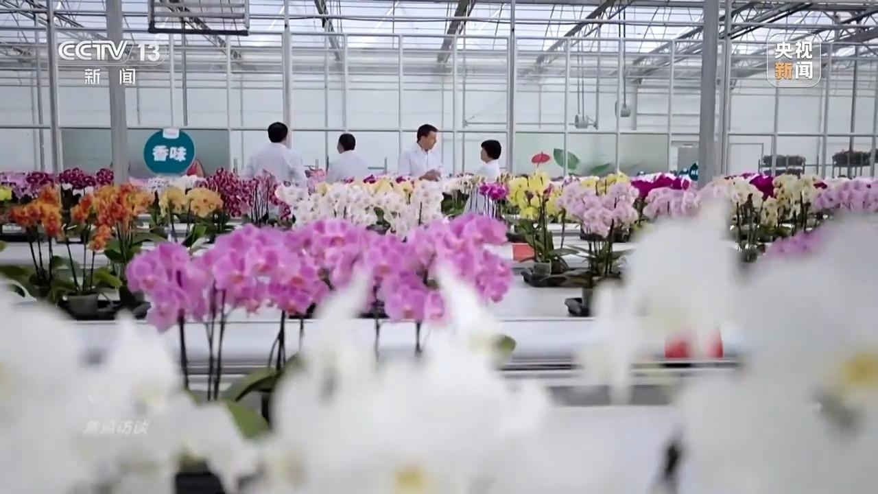 焦点访谈丨扩大开放再发力！2025让世界共享中国新机遇(图7)