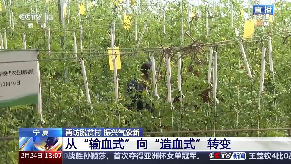 再访脱贫村振兴气象新丨移民村变了新模样闽宁镇里的“山海情”(图2)