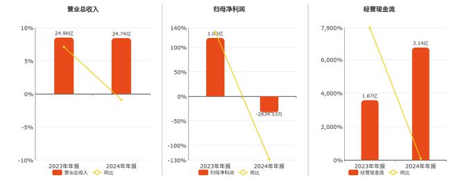 方正电机(002196SZ)：2024年年报净利润为-283453万元同比由盈转亏(图1)