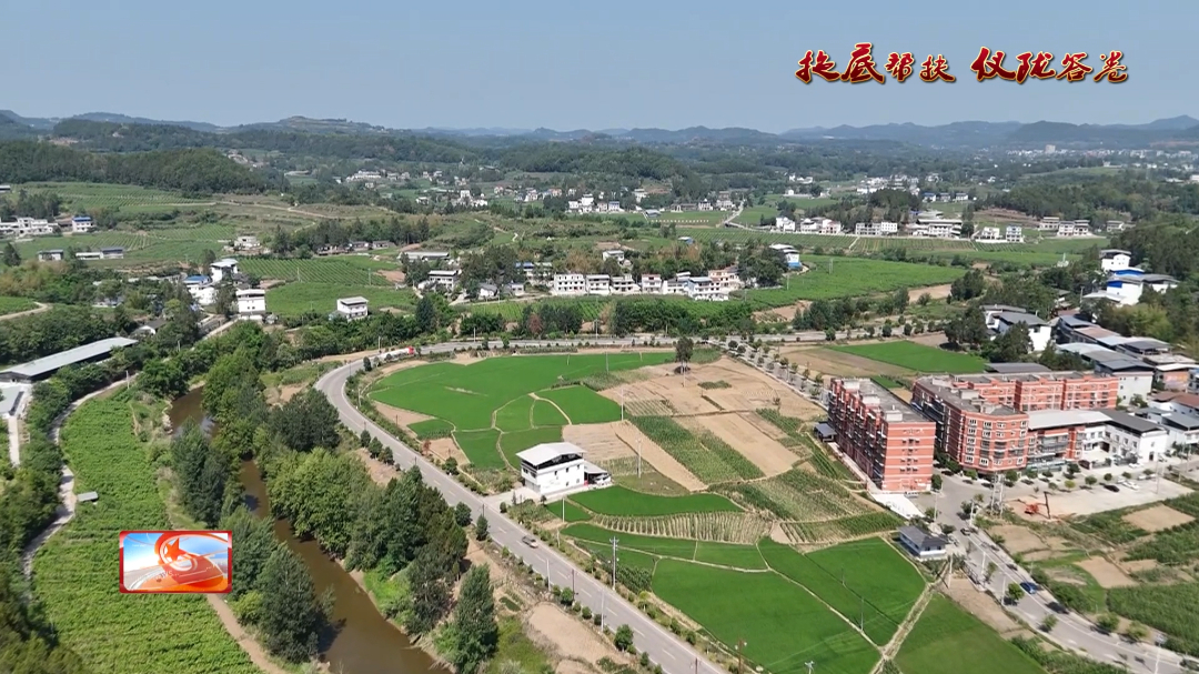 【托底帮扶仪陇答卷】十项指标稳步提升五方帮扶精准发力(图5)