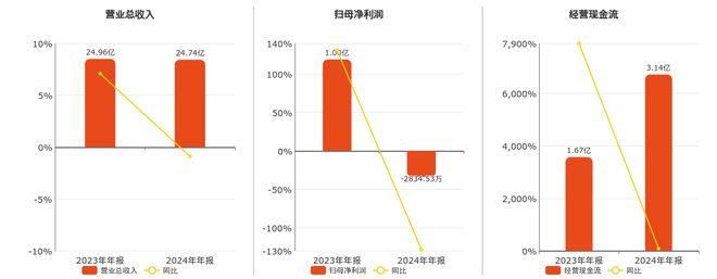 方正电机(002196SZ)：2024年年报净利润为-283453万元同比由盈转亏(图1)
