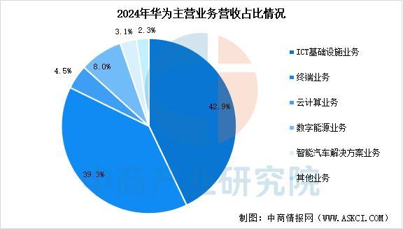 2025年中国智能穿戴设备行业市场前景预测研究报告（简版）(图13)