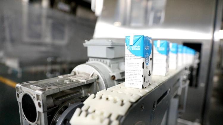 经济大省挑大梁｜从这些“小而美”的隐形冠军看山东制造有多强(图9)