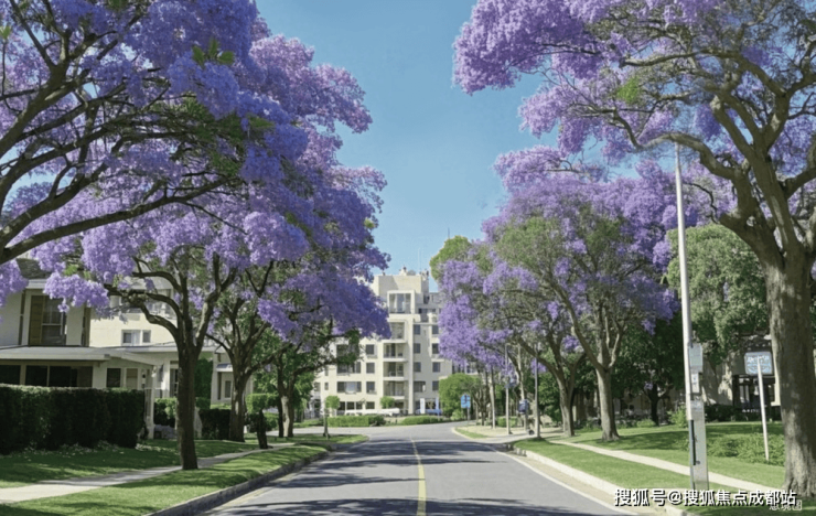 成都【建发招商源启金沙】春节售楼处电话(已认证)_楼盘详情_春节优惠活动_房价动态_热销户型图_特价房限时抢_线上售楼中心(图12)