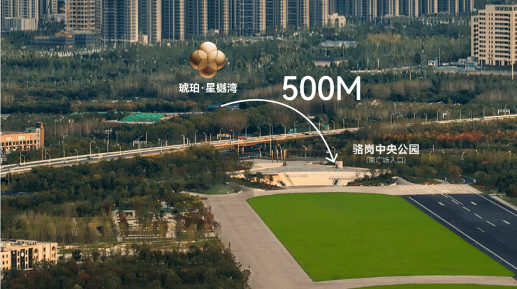 琥珀星樾湾项目价格解析：文化价值的市场体现(图5)